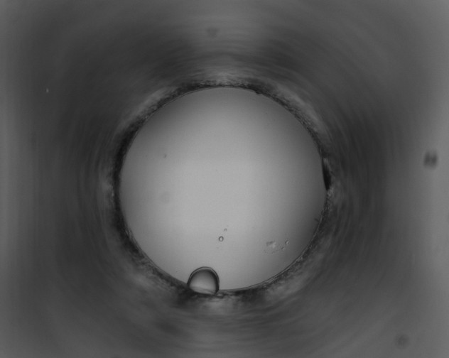 X0000101180306200807181454