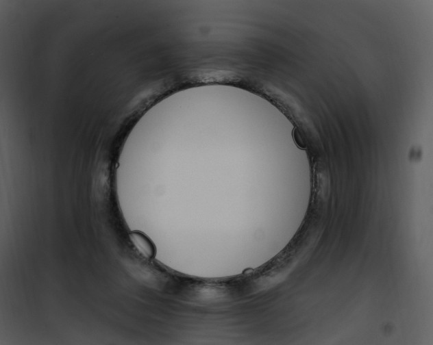 X0000101180308200807181454