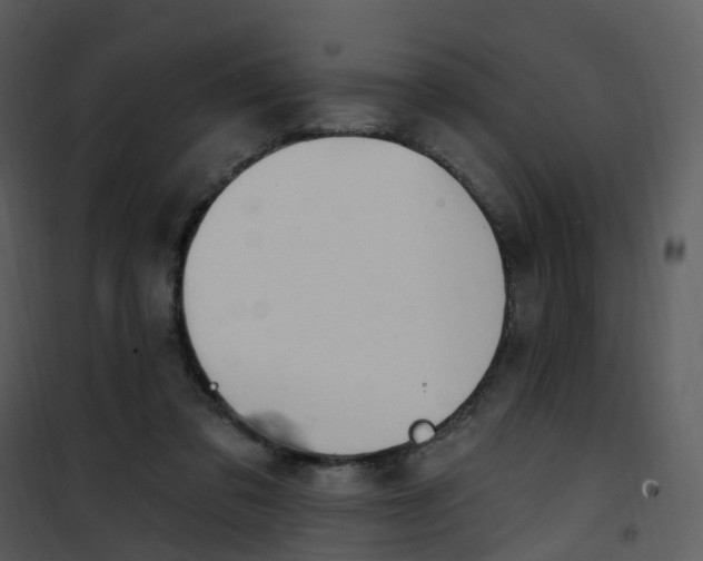 X0000101180309200807181454