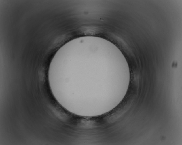 X0000101180311200807181454