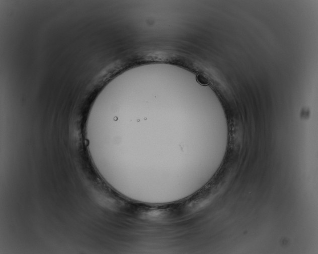 X0000101180312200807181454