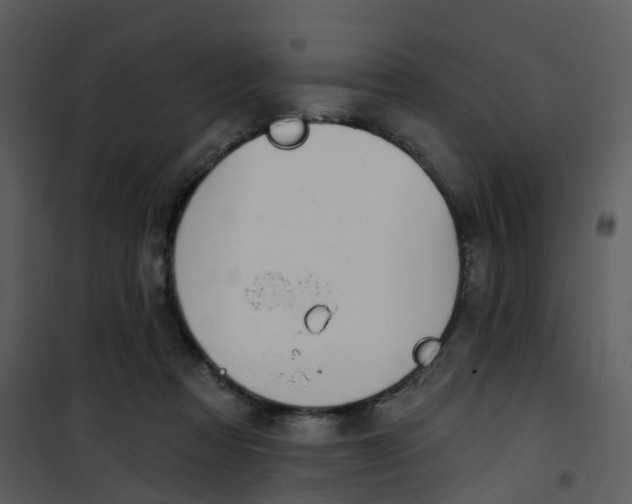 X0000101180313200807181454