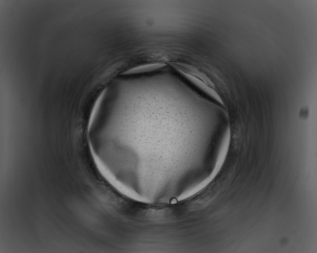 X0000101180314200807181454