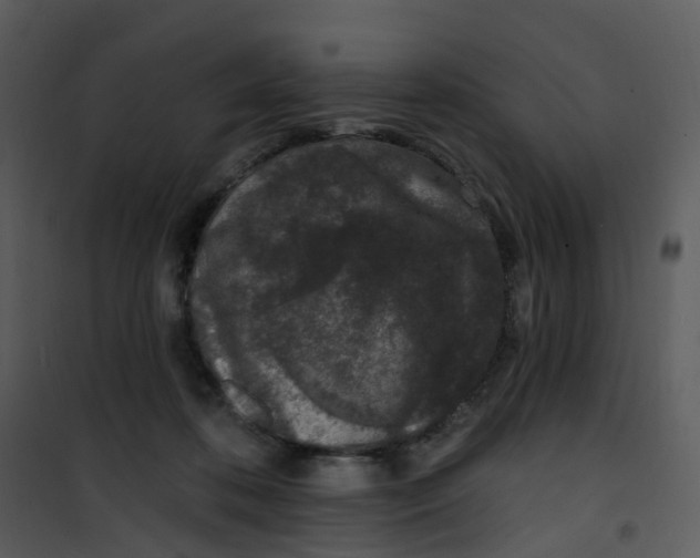 X0000101180316200807181454