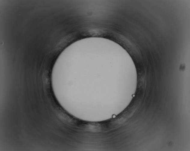 X0000101180317200807181454