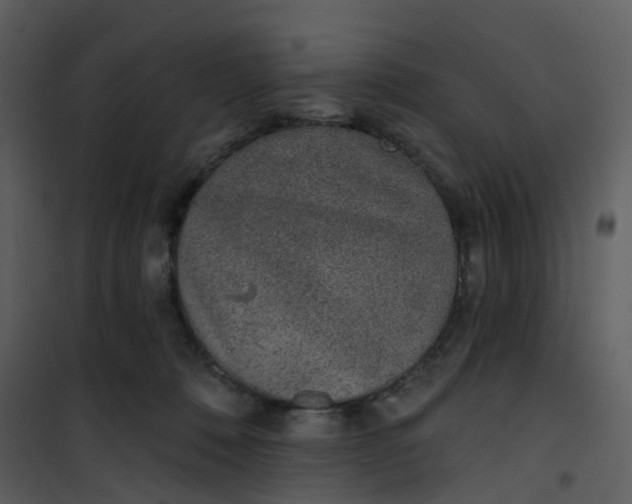 X0000101180320200807181454