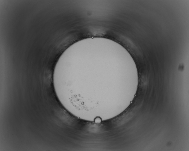 X0000101180321200807181454