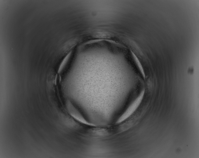 X0000101180322200807181454