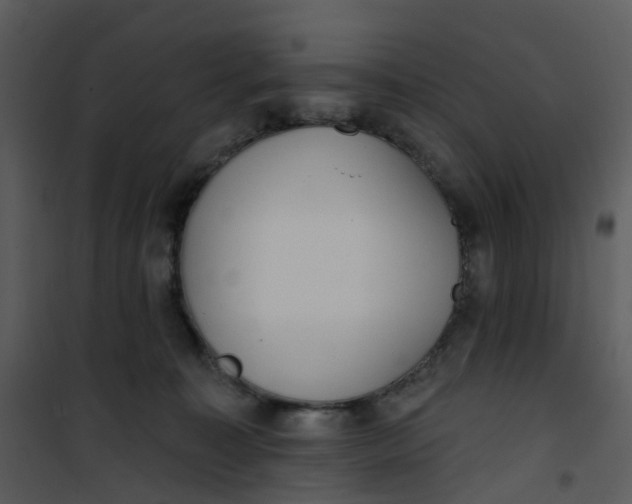 X0000101180323200807181454