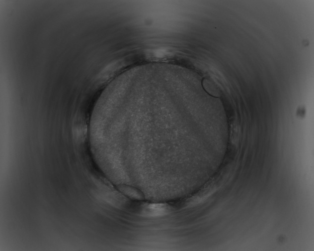 X0000101180324200807181454