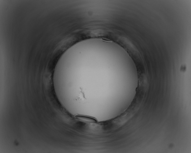 X0000101180327200807181454