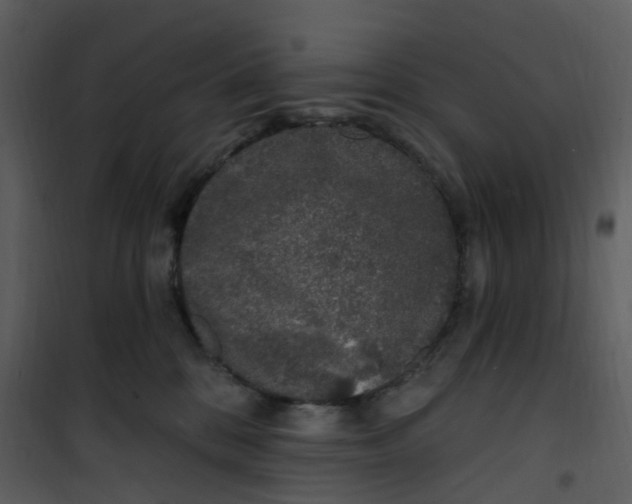 X0000101180328200807181454