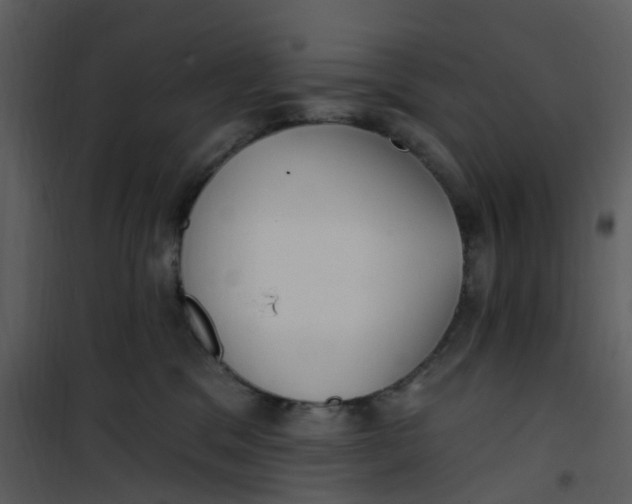 X0000101180329200807181454