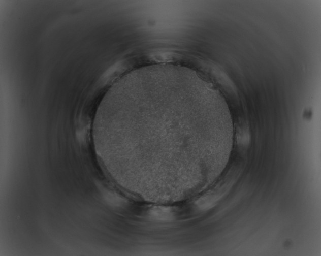 X0000101180332200807181454