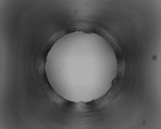 X0000101180333200807181454