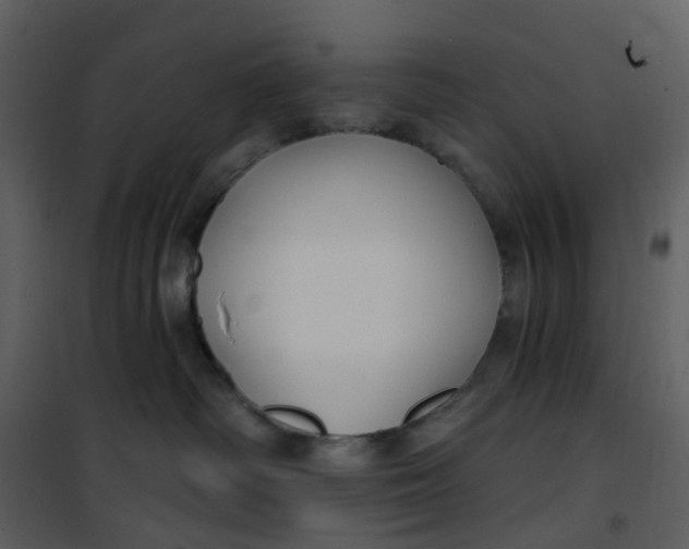 X0000101180334200807181454