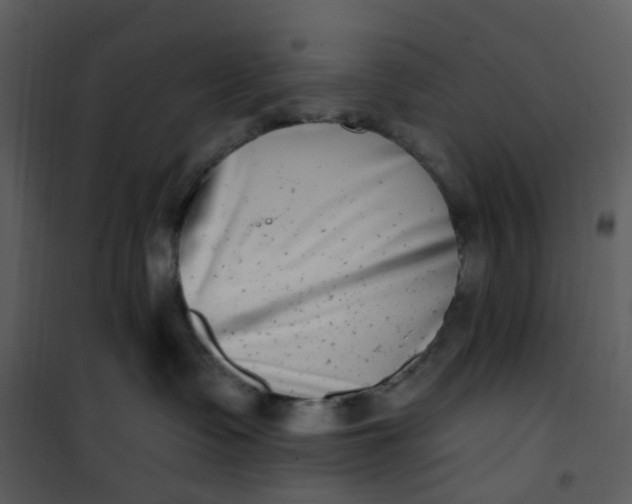 X0000101180335200807181454