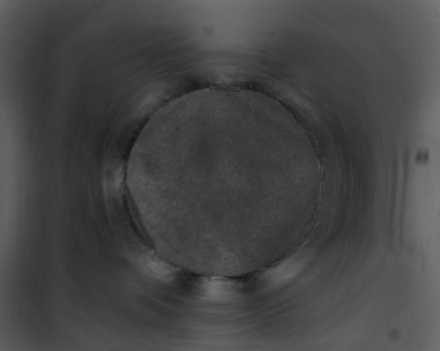 X0000101180336200807181453