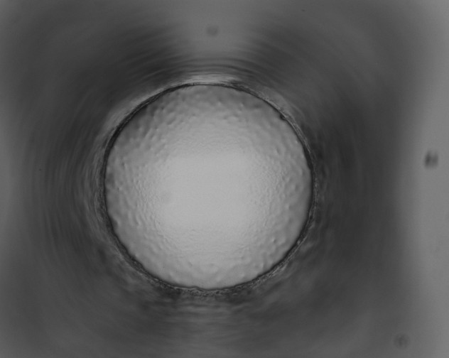 X0000101180337200807181453