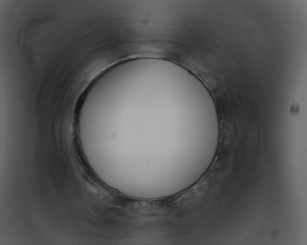 X0000101180338200807181453