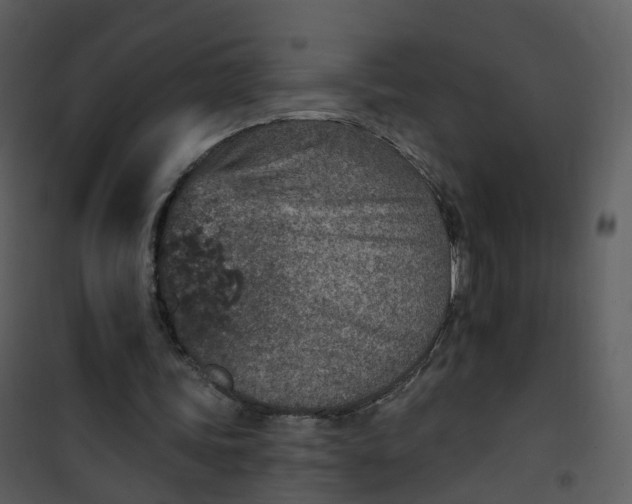 X0000101180339200807181453