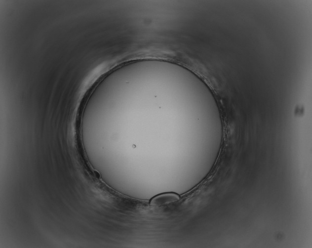 X0000101180340200807181453