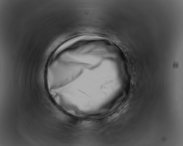 X0000101180341200807181453