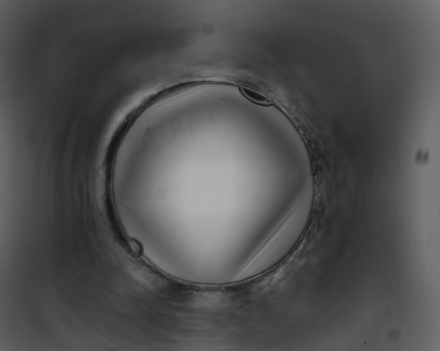 X0000101180342200807181453