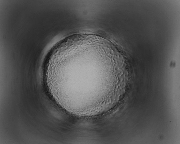 X0000101180343200807181453