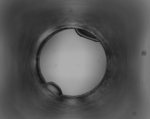 X0000101180344200807181453