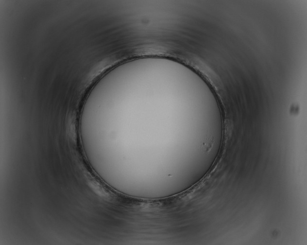 X0000101180345200807181453