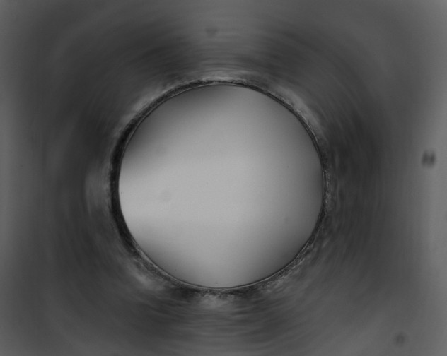 X0000101180346200807181453