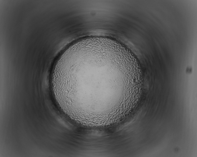 X0000101180347200807181453