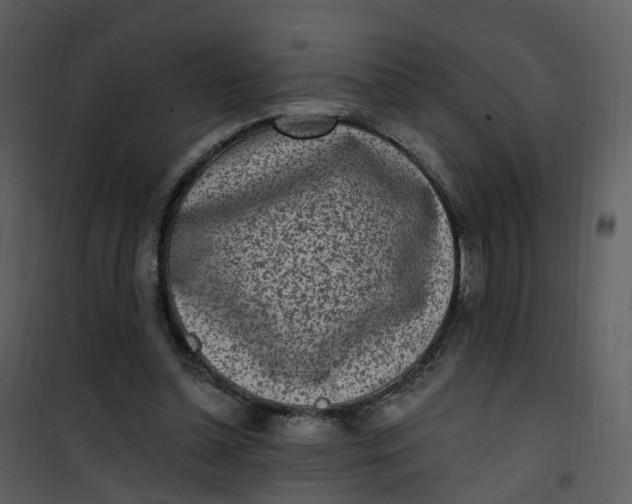 X0000101180348200807181453