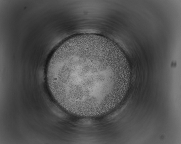 X0000101180351200807181453