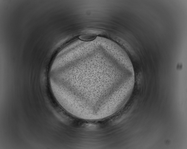 X0000101180352200807181453