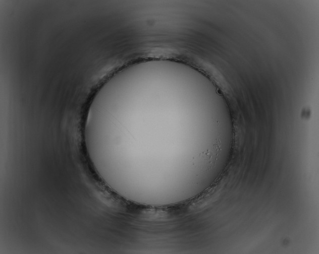 X0000101180354200807181453