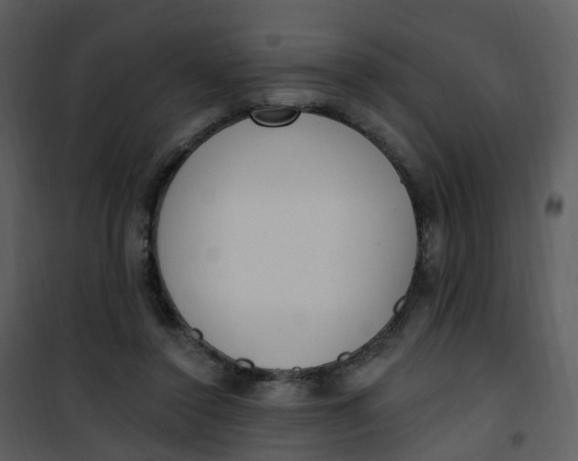 X0000101180356200807181453