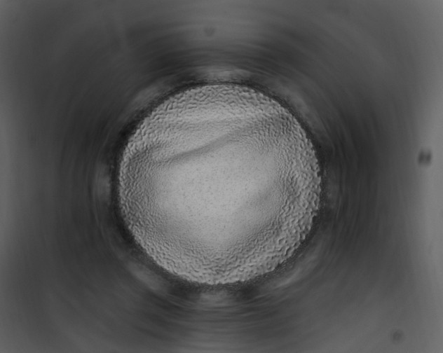 X0000101180357200807181453