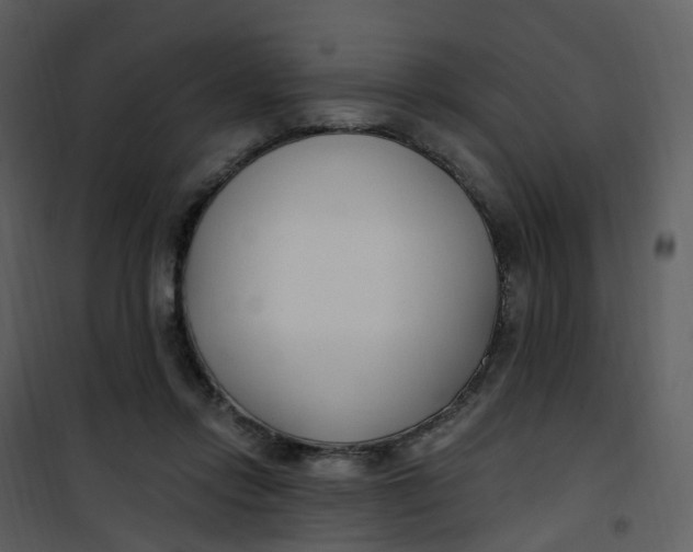 X0000101180358200807181453