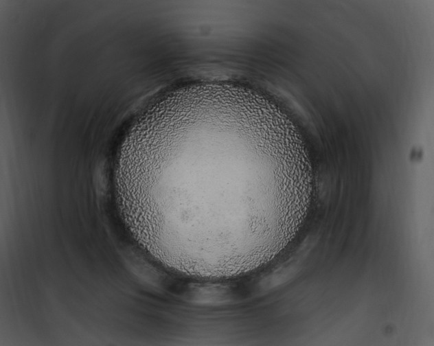 X0000101180359200807181453