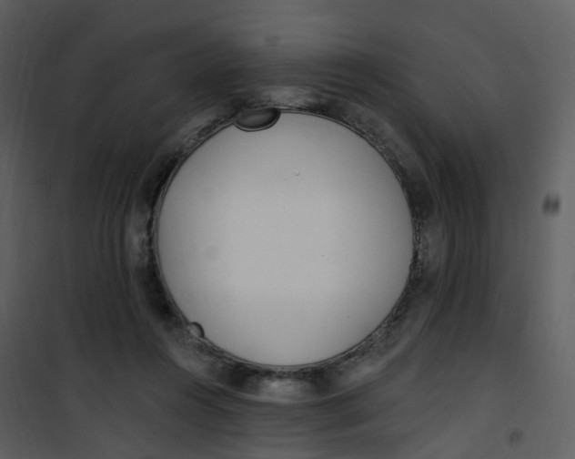 X0000101180360200807181453