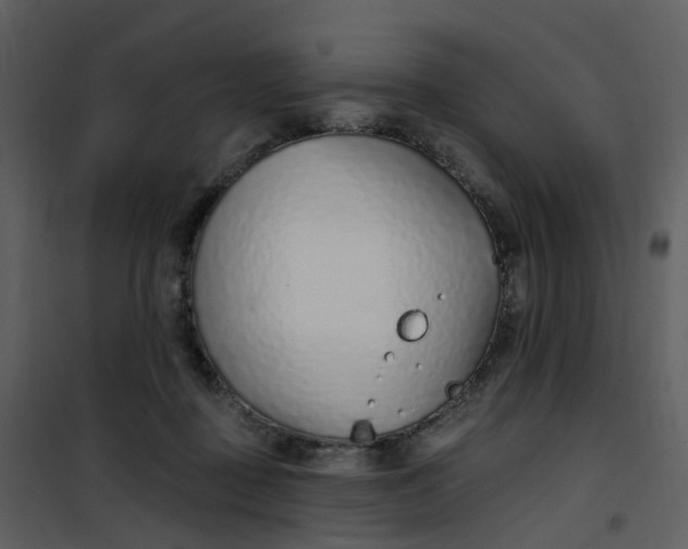 X0000101180363200807181453