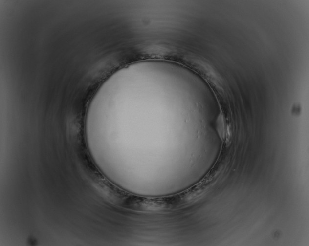 X0000101180365200807181453