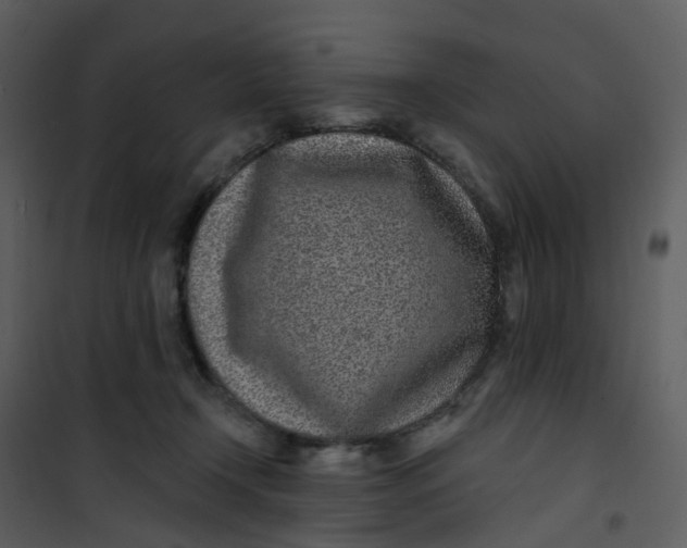 X0000101180366200807181453