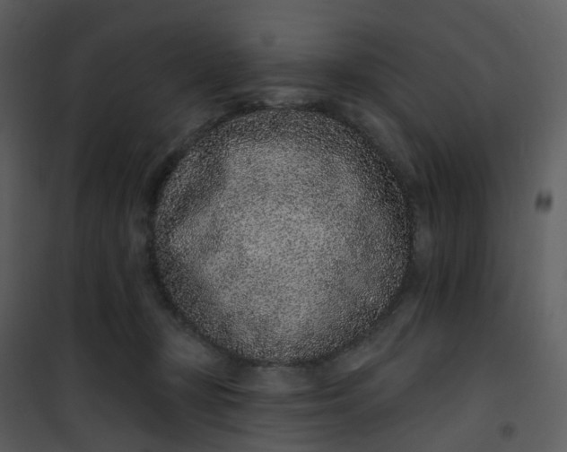 X0000101180367200807181453