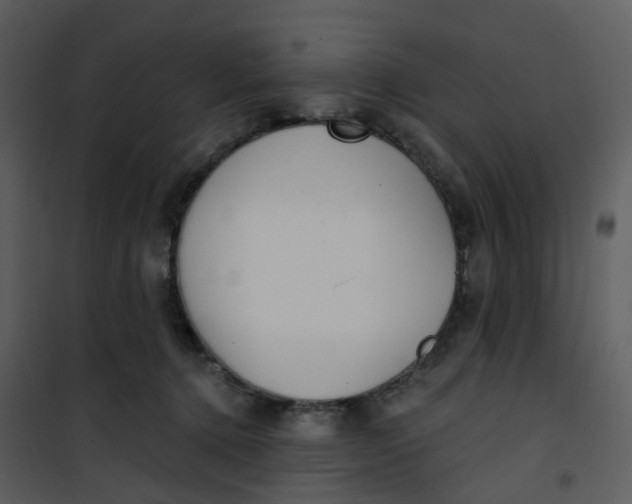 X0000101180368200807181453