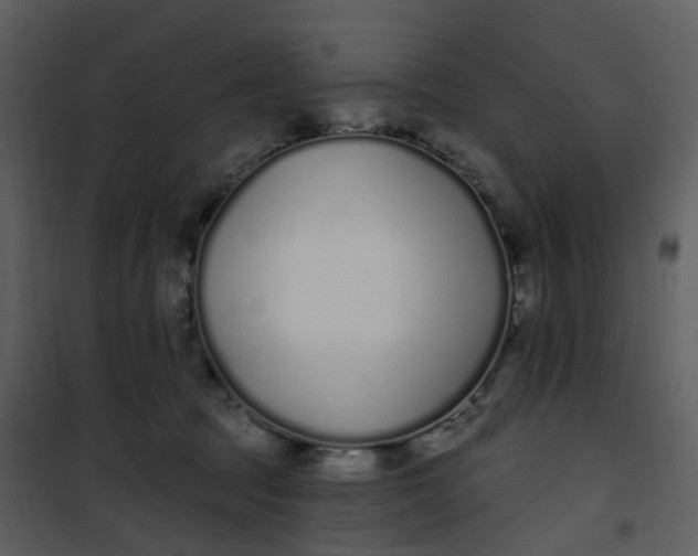 X0000101180369200807181453