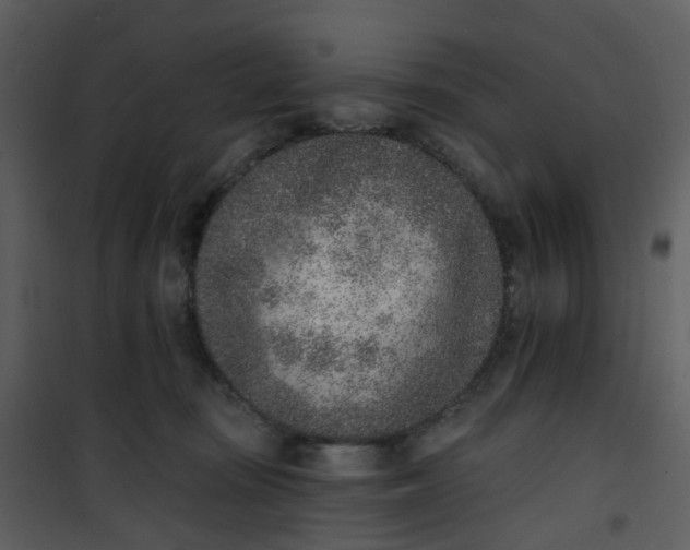 X0000101180371200807181453