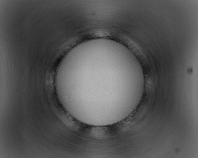 X0000101180373200807181453